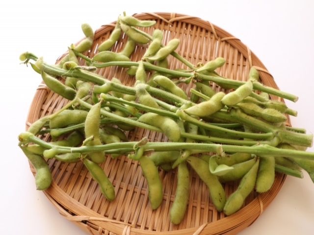 山形県の風景：だだちゃ豆